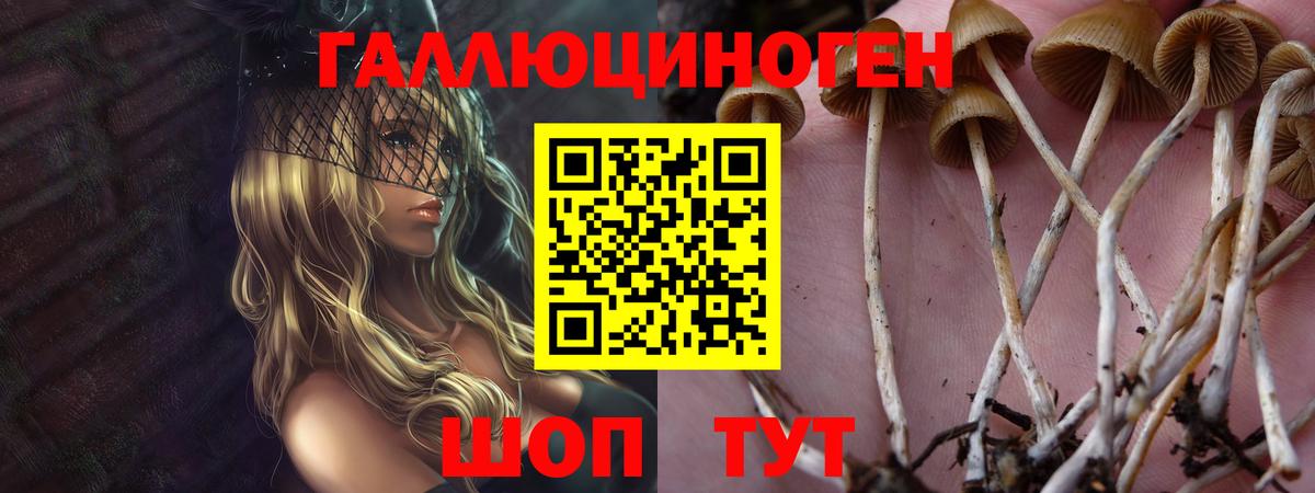 Псилоцибиновые грибы MAGIC MUSHROOMS Дзержинск